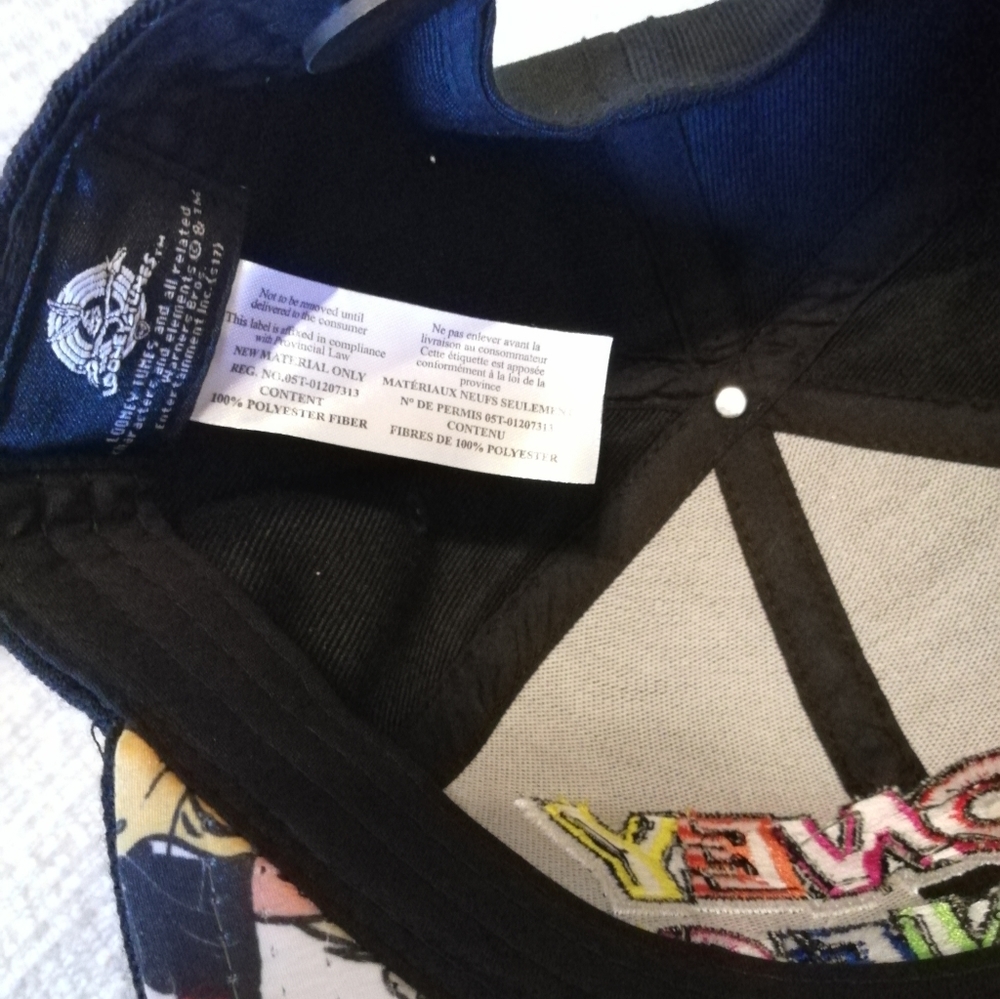 Looney Tunes Embroidered Rainbow Original Snapback. Unisex. NWOT. - Picture 7 of 7